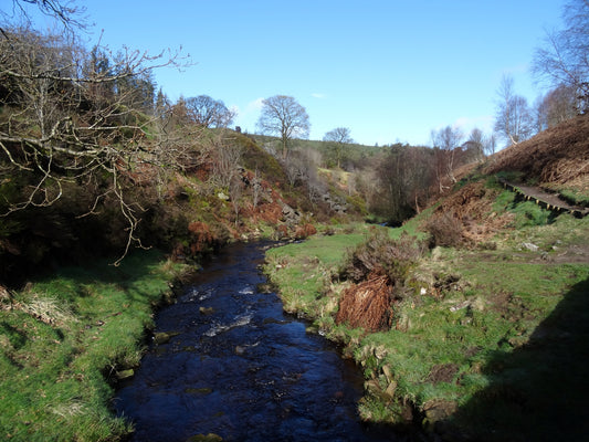 Goyt Valley 30th March 2024