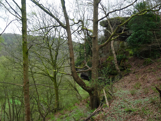Oakamoor 13th April 2024
