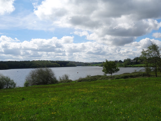 Staunton Harold Reservoir 4th May 2024