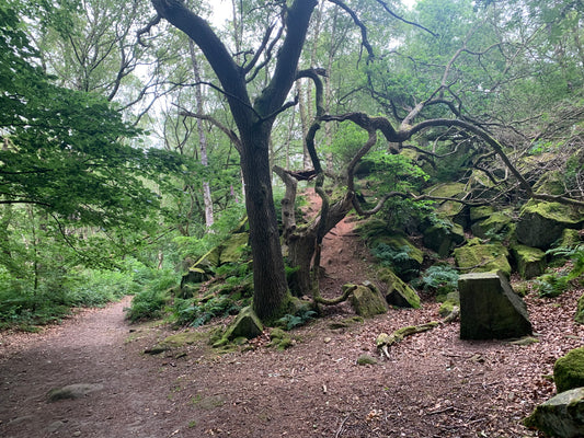 Stanton Moor 29th June 2024