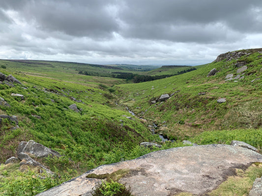 Longshaw Estate 7th June 2025