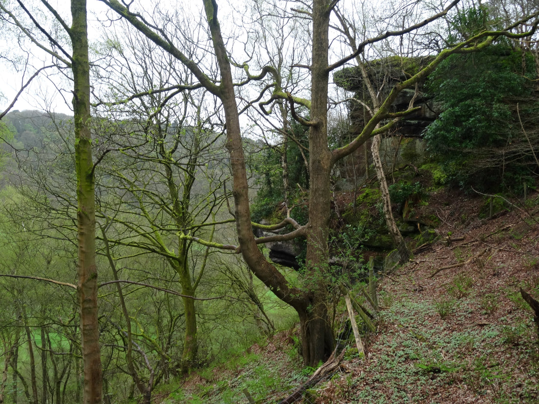 Oakamoor 13th April 2024