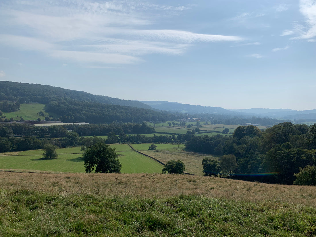 Stanton Moor 9th September 2023