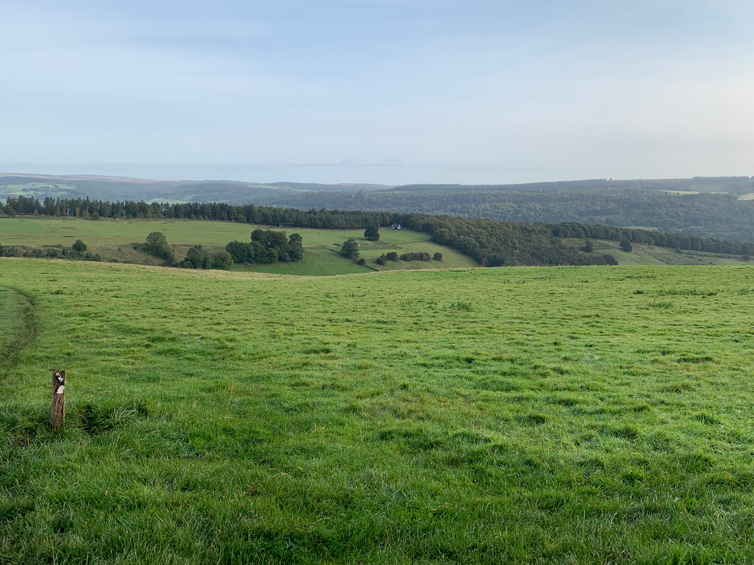 Beeley 30th September 2023