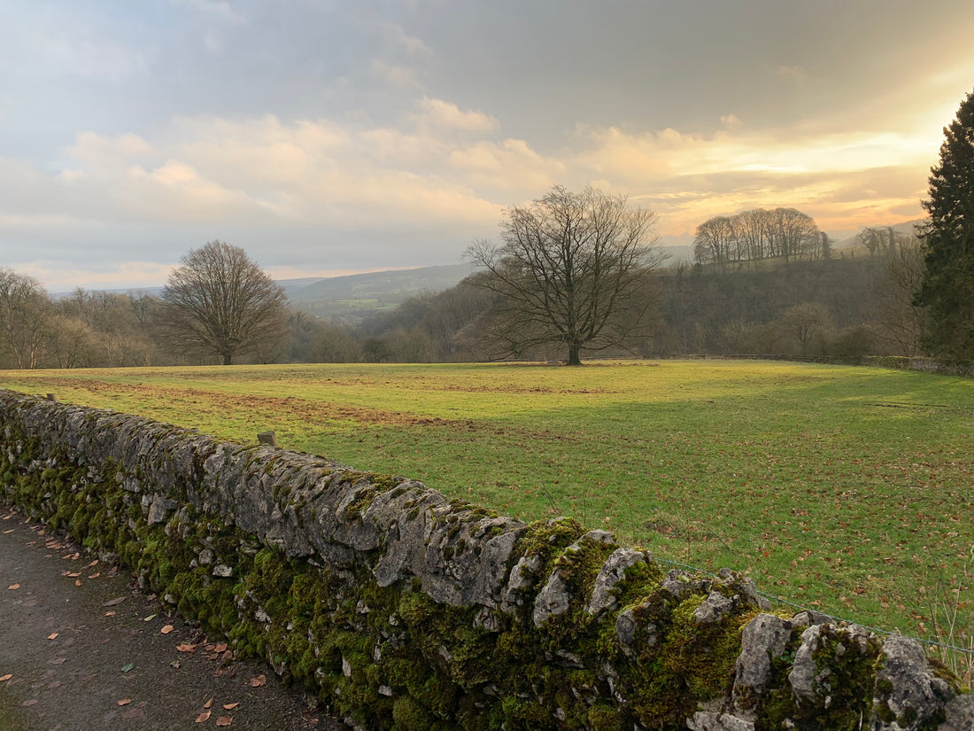 Lathkill Dale 28th January 2924