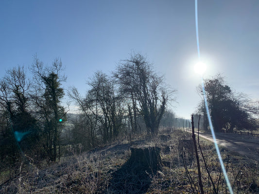 Ashbourne 24th February 2024