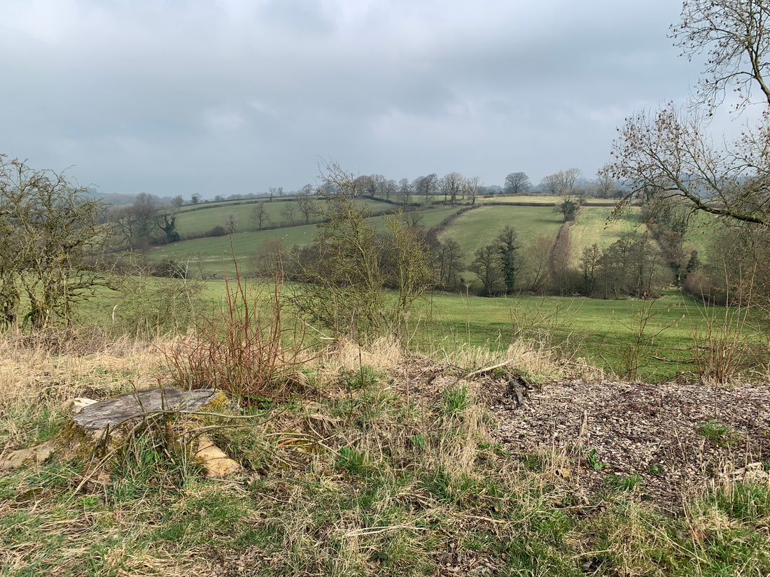 Tissington Trail 9th March 2024