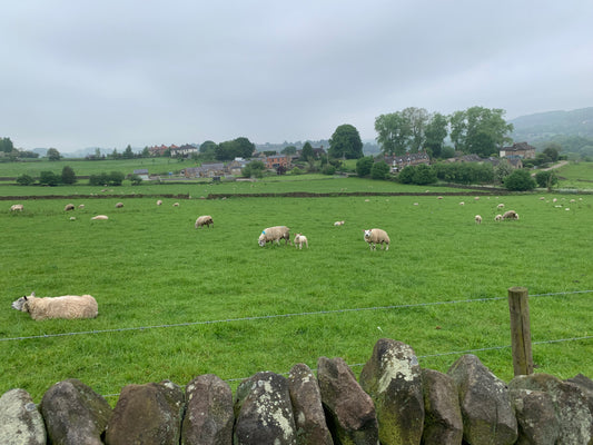 Belper 18th May 2024