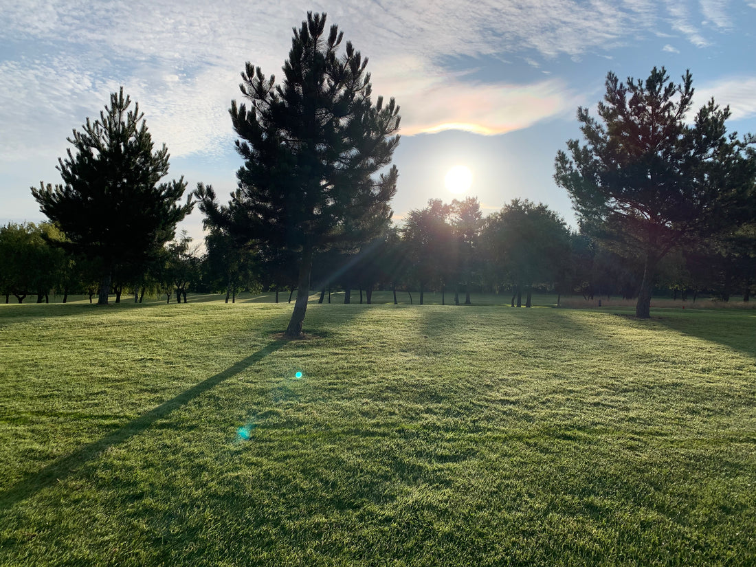 Horsley Woodhouse 27th July 2024