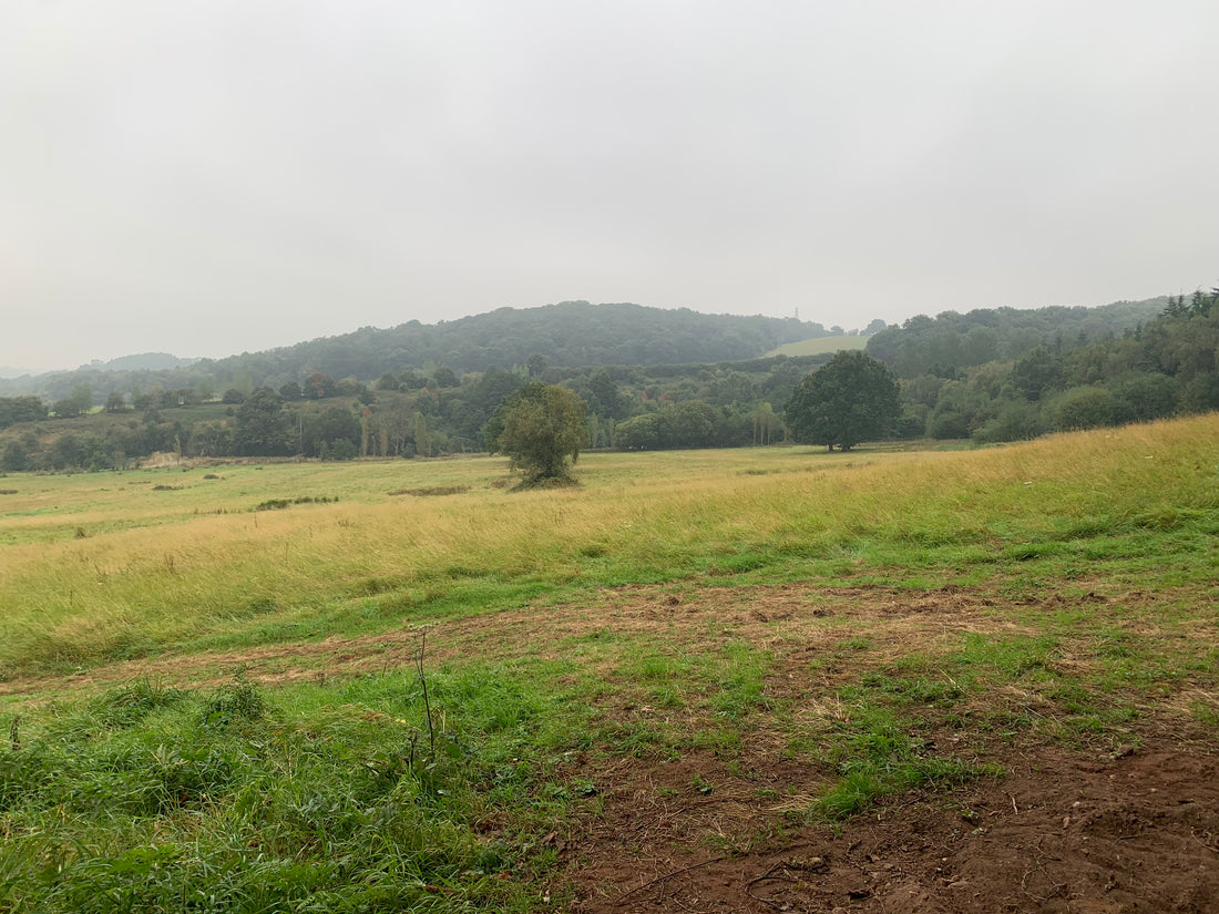 Horsley Woodhouse 7th September 2024