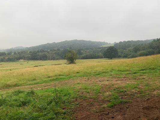 Horsley Woodhouse 7th September 2024