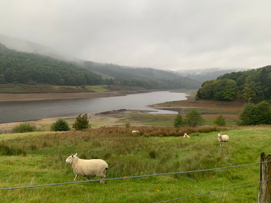 Ladybower Reservoir 20th September 2025