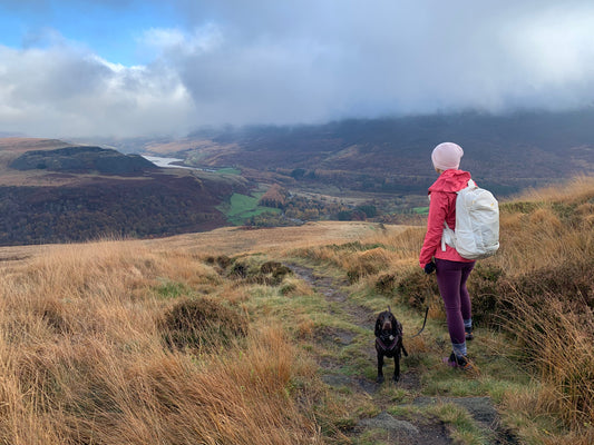 Torside Reservoir 8th November 2025